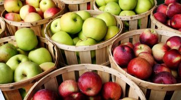 Here’s A Great Explanation Of Why Eating ‘An Apple A Day’ Really Keeps The Doctor Away