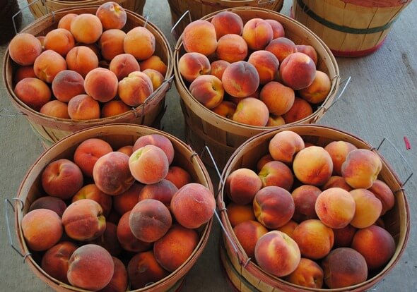 peaches5