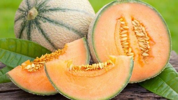 Cantaloupes15