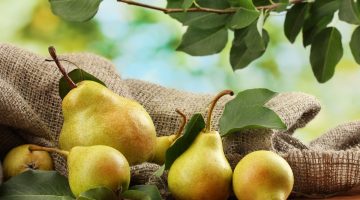 What Happens To Bad Cholesterol Levels After Eating Pears Is Truly Remarkable