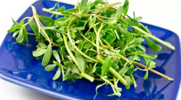 Want Lower Sugar Levels? Here’s Why Eating Purslane Will Do The Trick