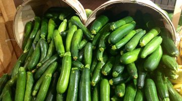 5 Incredible Health Benefits Of Zucchini You May Not Know