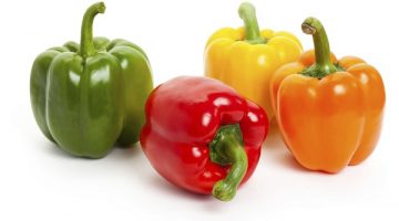 Green Bell Peppers Are Just Unripe Versions Of Yellow, Orange And Red Peppers