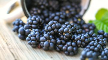 Blackberries Are A Key To Fighting Cancer, According To Studies