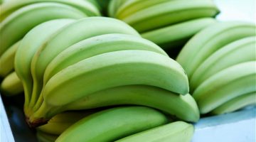 The Health Powers of Cooked Green Bananas Are Amazing