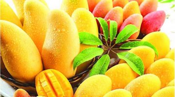 Eating Mangoes Will Clean Cancer Cells Out The Body