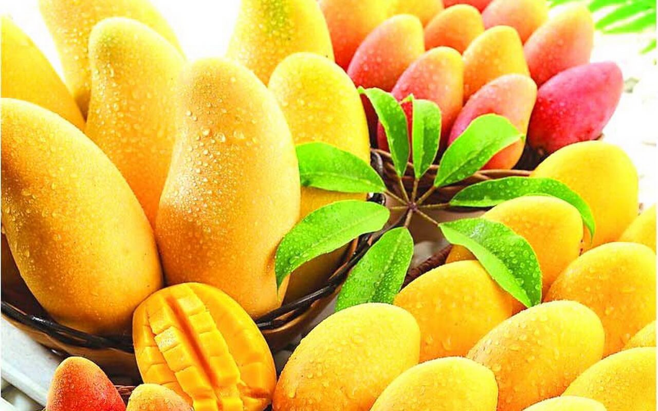 Eating Mangoes Will Clean Cancer Cells Out The Body - Alkaline Valley Foods
