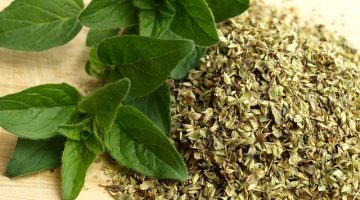 7 Must-See Health Benefits Of Oregano You Probably Don’t Know About