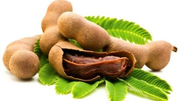 Tamarind Can Possibly Be The Savior For People With Diabetes