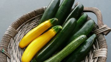 Eating Zucchini Does Wonders For Weight Loss