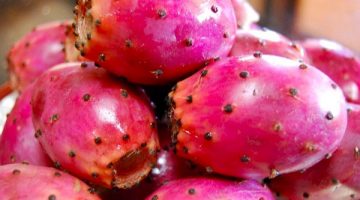 Here’s Why People With Diabetes Should Eat Prickly Pear
