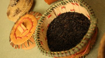 10 Untold Health Benefits About Wild Rice That Must Be Told To The Masses