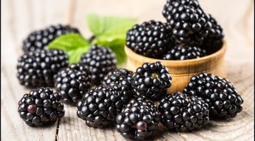 Eating Blackberries May Be A Great Choice For People Suffering From Memory Loss