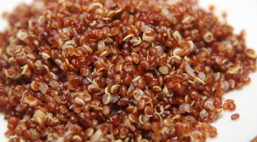 Quinoa May Help People Knock Off The Pounds