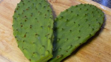 Eating Nopales Is A Near Perfect Way To Lower Blood Sugar