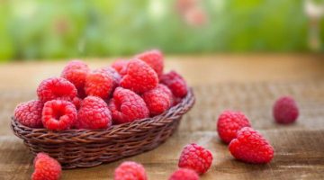 6 Fascinating Things About Raspberries That Explain Why You Should Eat Them