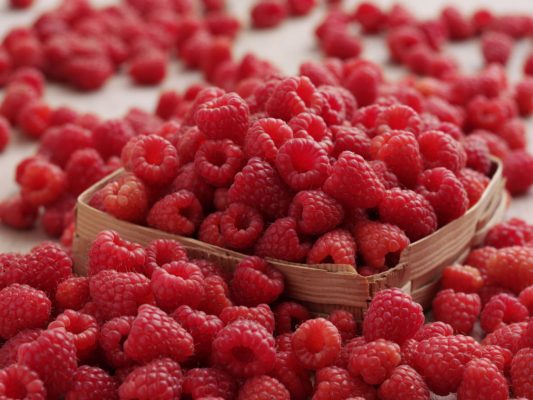 raspberries3