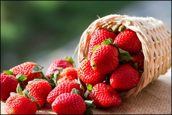 strawberries2