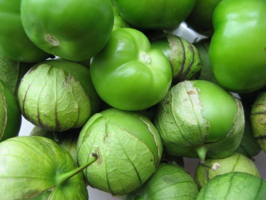 tomatillos1