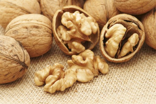 are walnuts an easily digested food