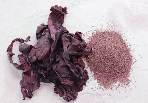 Dulse