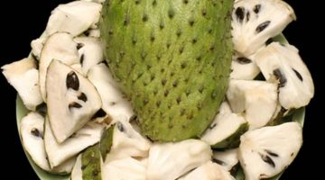 9 Incredible Health Benefits Of Soursop That Can Save Your Life