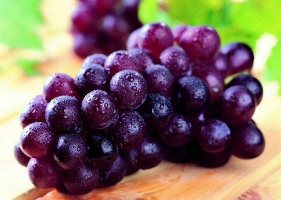 grape1