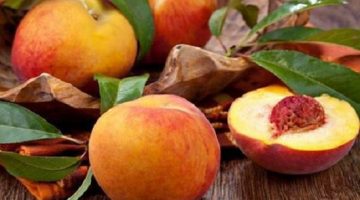 10 Awesome Health Discoveries About Peaches That Can Save Your Life