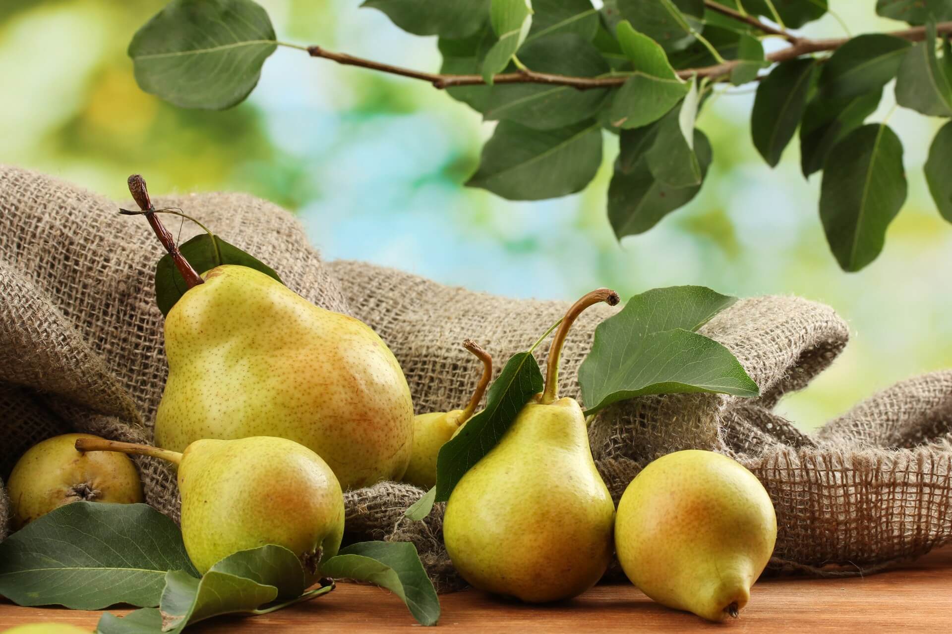 Image result for Pears