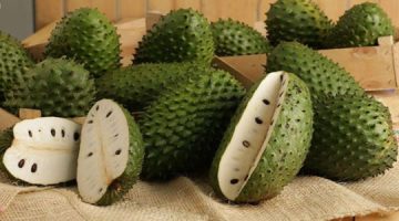 What Soursop Does To Cancer Is Really Impressive