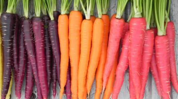 You’ve Been Lied To: 6 Disturbing Facts About How Eating Carrots Can Wreck Your Health
