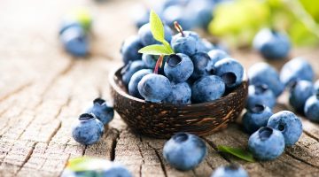 Eating Blueberries Regularly May Be Wonderful For People Suffering From Liver Damage