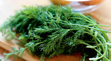 Dill Is Great To Help In Fight Against Diabetes