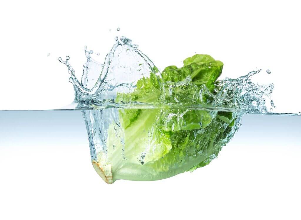 iceberg lettuce nutrition